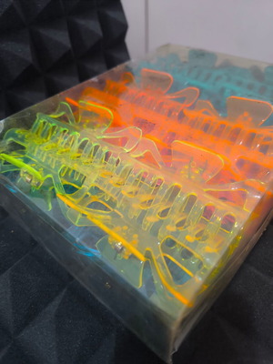 Hair clips new, set of 24 pieces in various colors