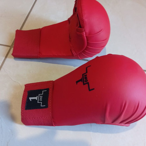Karate gloves