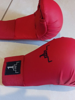 Karate gloves