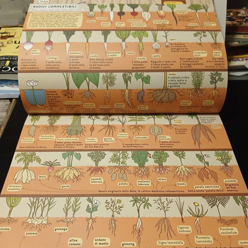 Sottoterra Sottaqua children's book in Italian 2015
