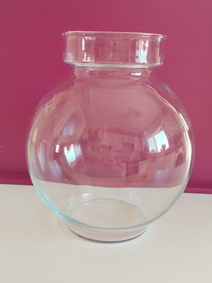 Fish bowl new