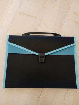 Accordion File Folder with Handle 12 A4 Sections new