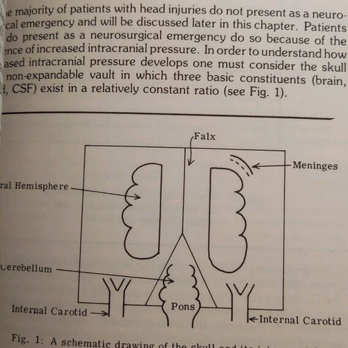 Medical books in English new