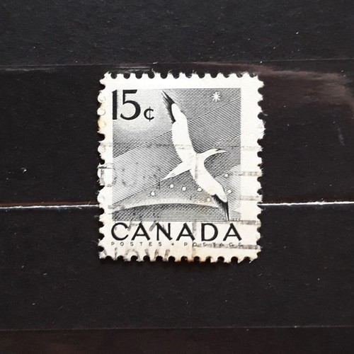 Canada 1954 15c Wildlife Gannet stamp like new