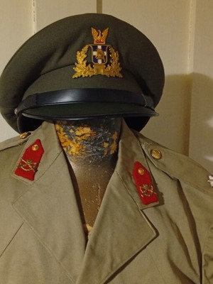Africana 1973 military uniform with phoenix buttons