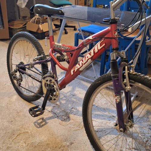 Fanatic Teen Bicycle used