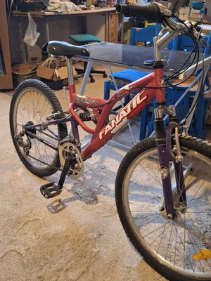 Fanatic Teen Bicycle used