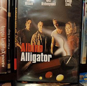 Albino Alligator