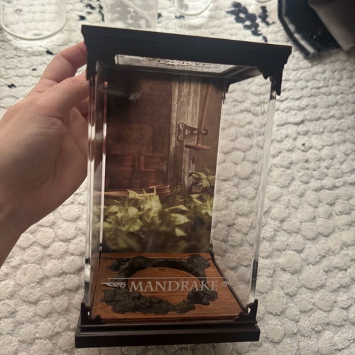 Noble Collection Mandrake Display like new without figure