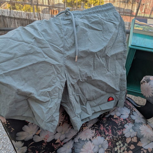 Ellesse mint swim shorts Medium