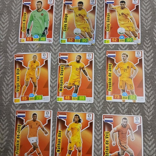 UEFA Euro 2024 Germany cards used
