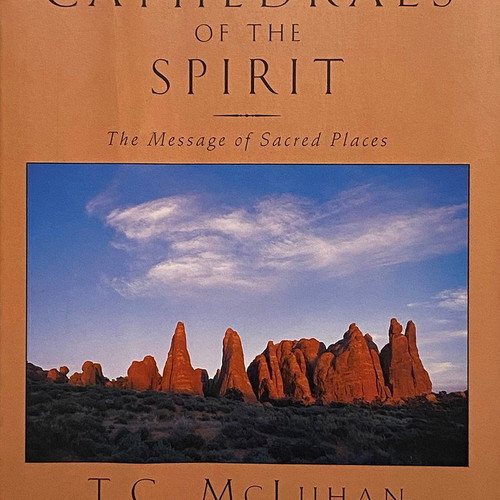 Cathedrals of the Spirit book used, English