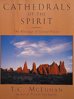 Cathedrals of the Spirit book used, English