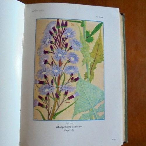 The Alpine Flora book used about Alpine flora