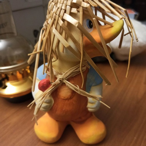 Duck used