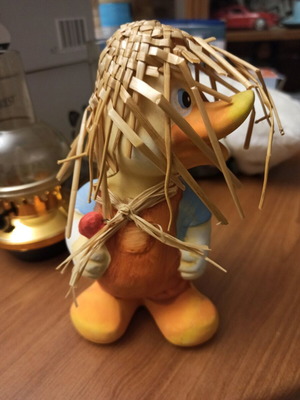 Duck used