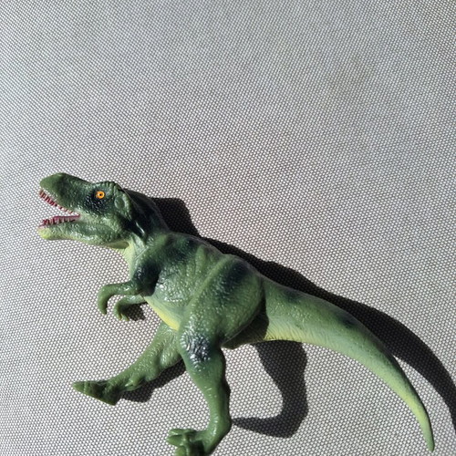 Dinosaur small toy used