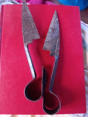 Sheep scissors used antique