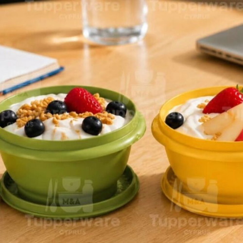 Tupperware vintage bowl set 4 pieces 340 ml ×2 800 ml ×2 new