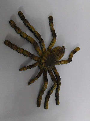 Spider like new in excellent condition
