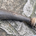 Powder horn used