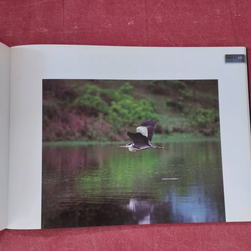 Oikofotografia album Dimitris Lambrellis like new
