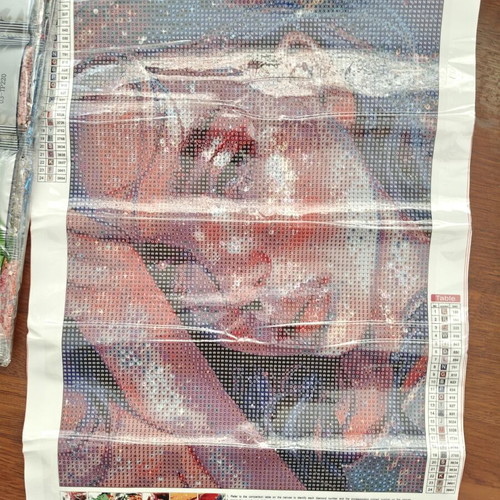 Diamond Painting Kit 30x40 Girl new