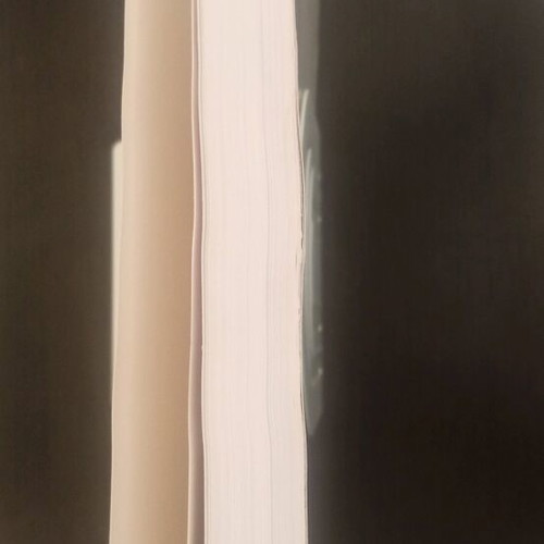 Nelson Basic Pediatrics Volume B like new