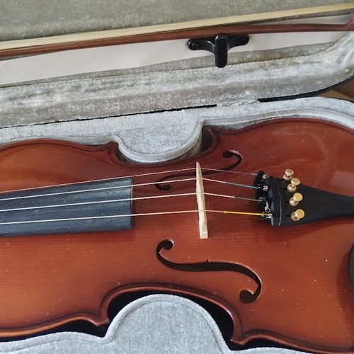 Violin Josef Jan Dvořák 4/4 complete set like new
