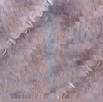 Дамско кафяво сако като ново с естествена кожа и заешка кожа