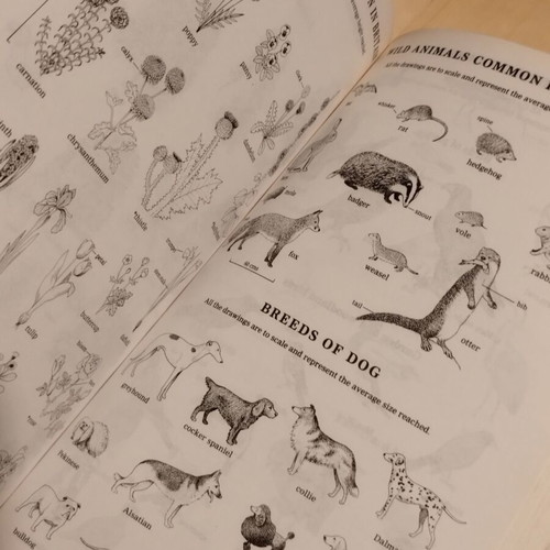 Oxford Advanced Learner's Dictionary illustrated, like new