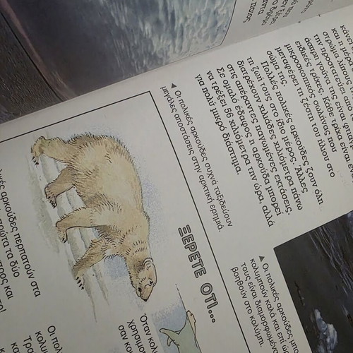 Children's Book The Polar Bear like new, educational