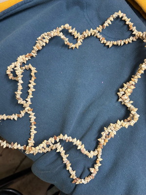 Shell jewelry new, unworn