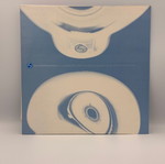 Total Eclipse vinyl record used