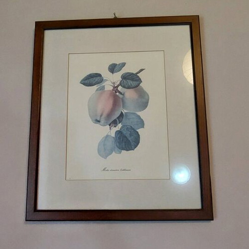 Frame like new 49x4