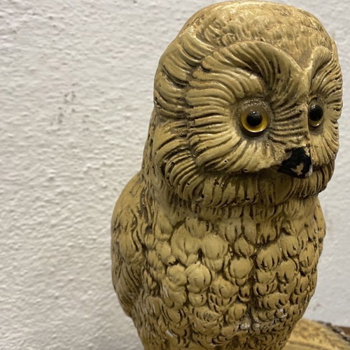 Old Dutch owl used, nocturnal bird