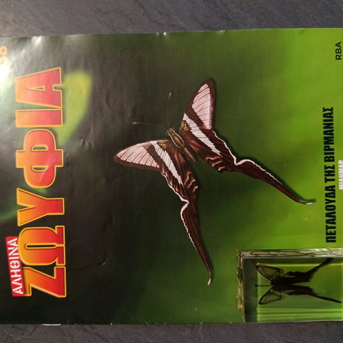Alithina Zoyfia Issue 38 used