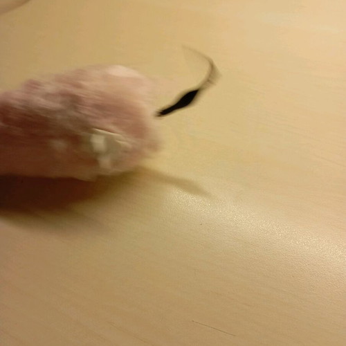 Wind-up mouse unused