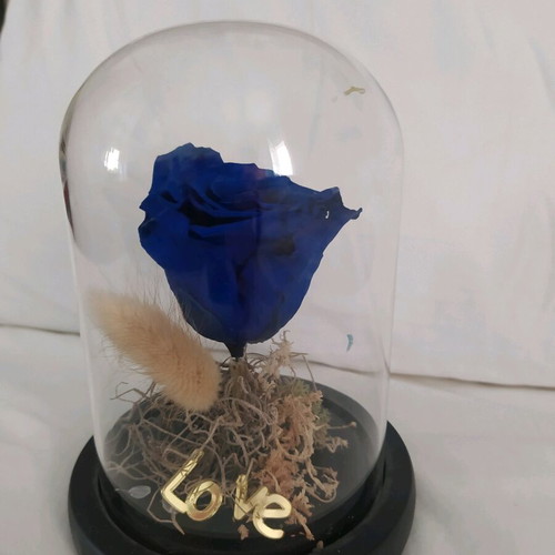 Natural rose used in glass dome