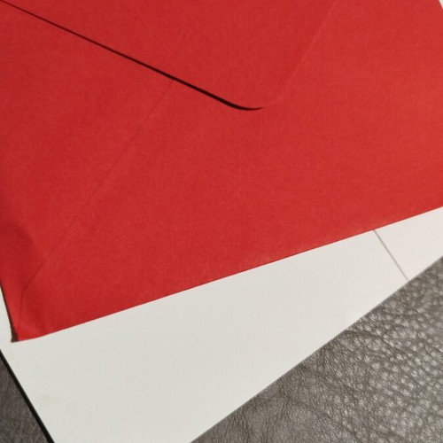 Capybara Birthday Card new with red envelope