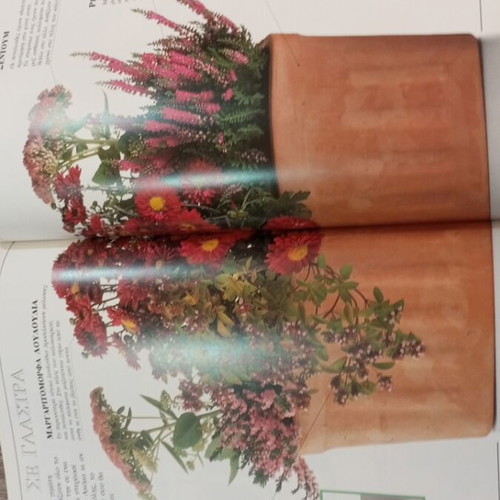 The First Ecology Book like new, children's guide to environment