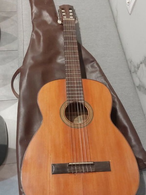Panagis guitar used with case