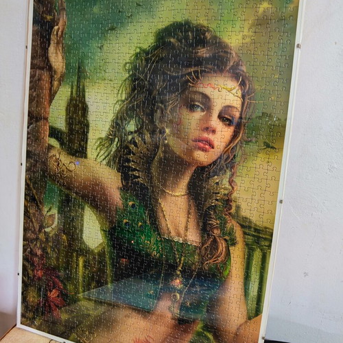 Puzzle set of 2 framed 1000-piece puzzles by Heye, like new