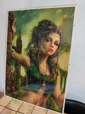 Puzzle set of 2 framed 1000-piece puzzles by Heye, like new
