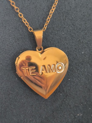 Steel Necklace Heart "TE AMO" Gold Locket new