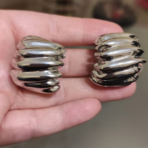 Impressive silver earrings new, iron and titanium steel