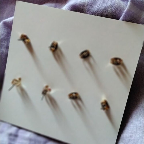 Earrings new, multicolored