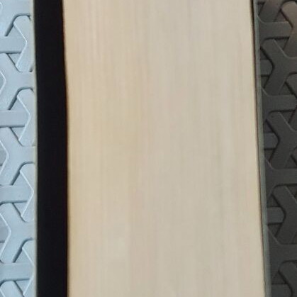 The Host by Stephenie Meyer English edition used