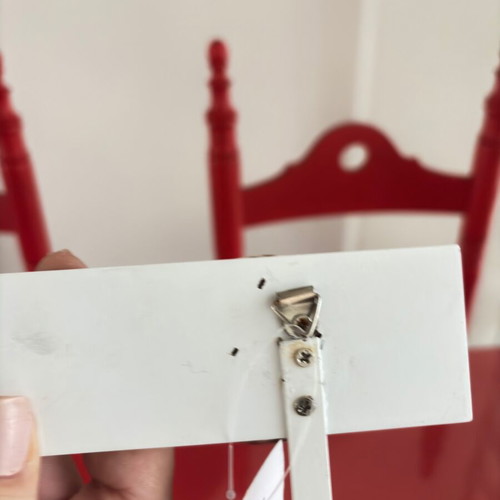 Double wall hook decorated with starfish and real shell