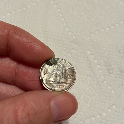Canada 1973 coin used
